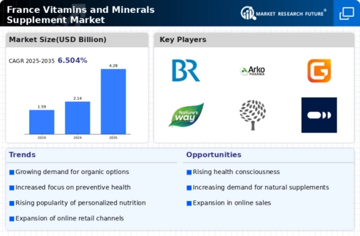 France Vitamins Minerals Supplement Market Infographic