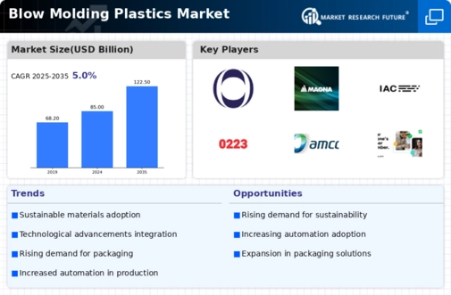Blow Molding Plastics Market Infographic