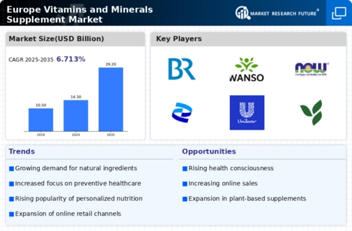Europe Vitamins Minerals Supplement Market Infographic