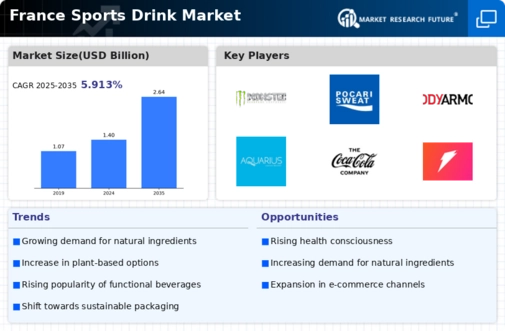 France Sports Drink Market Infographic