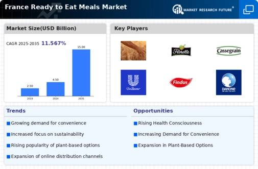 France Ready To Eat Meals Market Infographic