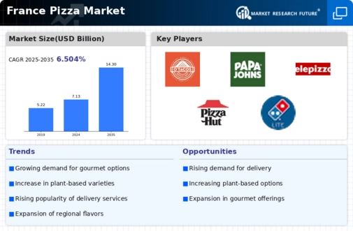 France Pizza Market Infographic