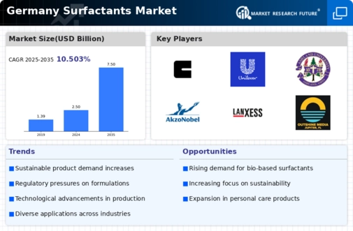 Germany Surfactants Market Infographic