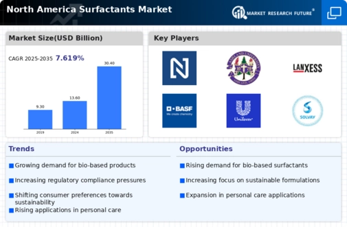 North America Surfactants Market Infographic