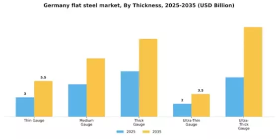 Germany Flat Steel Market Segment Image 3