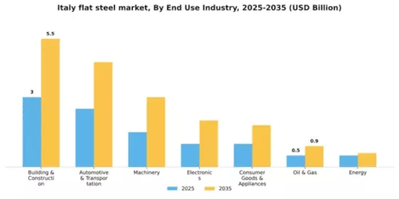 Italy Flat Steel Market Segment Image 0