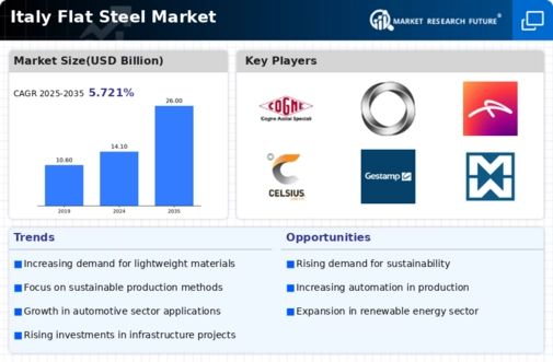 Italy Flat Steel Market Infographic