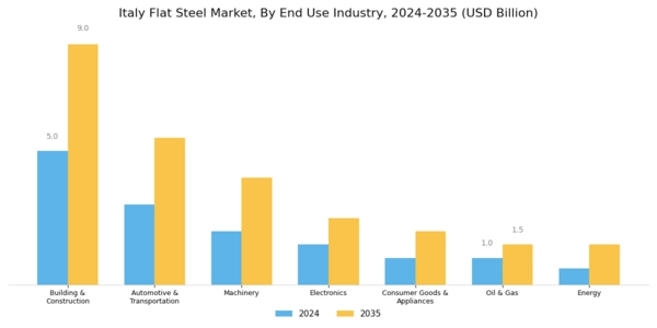 Italy Flat Steel Market Segment Image 1