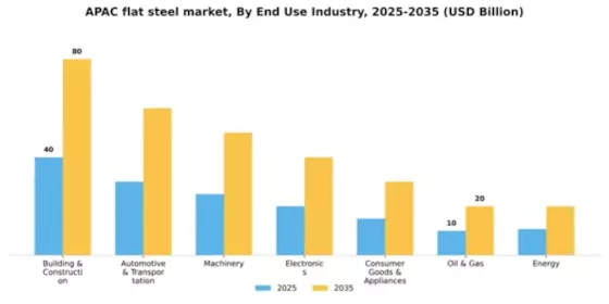 APAC Flat Steel Market Segment Image 0
