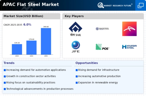 APAC Flat Steel Market Infographic