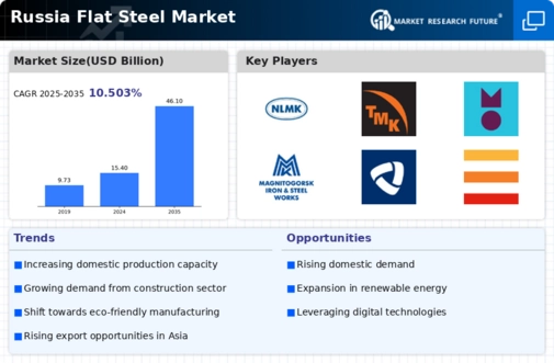 Russia Flat Steel Market Infographic