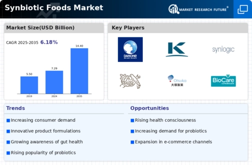Synbiotic Foods Market Infographic