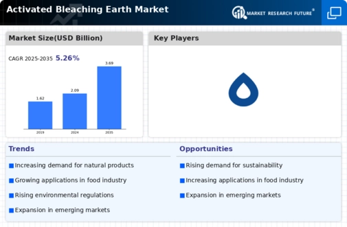 Activated Bleaching Earth Market Infographic
