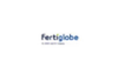 India Methanol Market key player