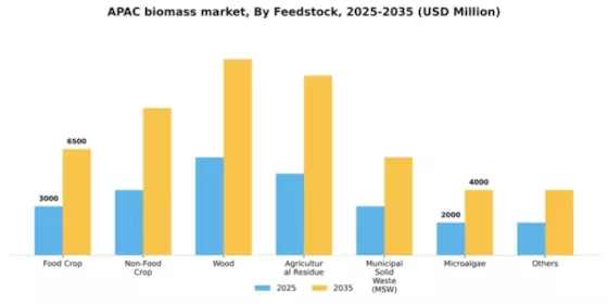 APAC Biomass Market Segment Image 1