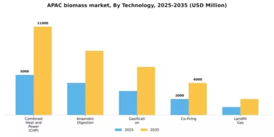 APAC Biomass Market Segment Image 3