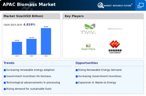 APAC Biomass Market Infographic