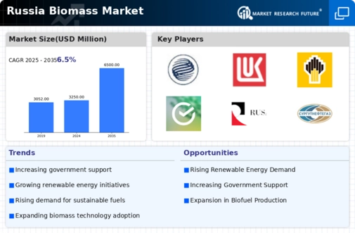 Russia Biomass Market Infographic