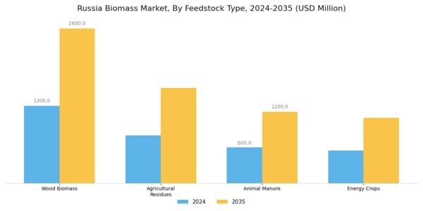 Russia Biomass Market Segment Image 1