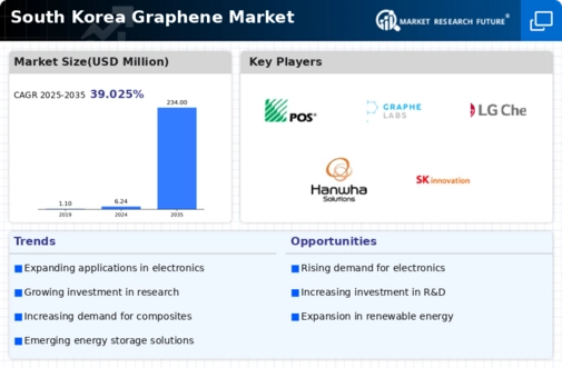 South Korea Graphene Market Infographic