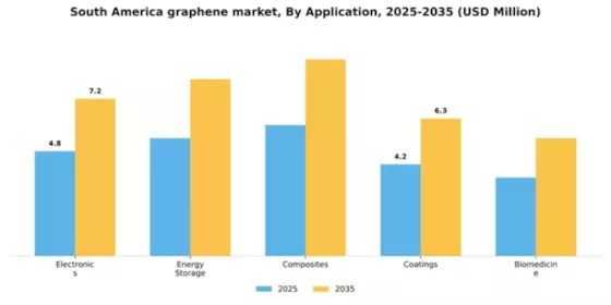 South America Graphene Market Segment Image 0
