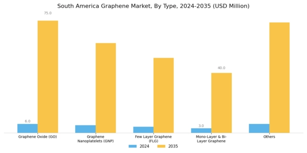 South America Graphene Market Segment Image 0