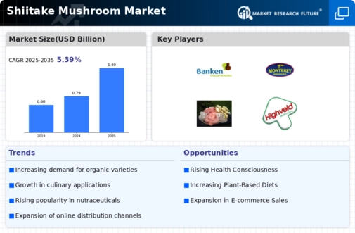 Shiitake Mushroom Market Infographic