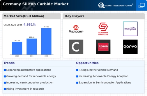 Germany Silicon Carbide Market Infographic
