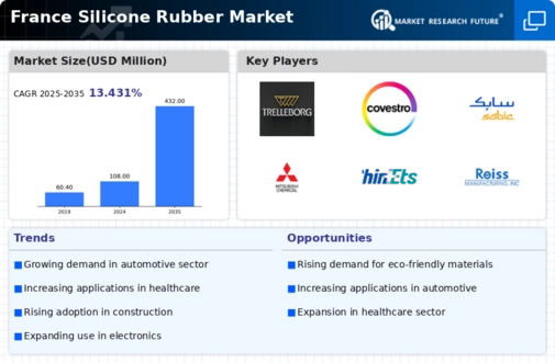 France Silicone Rubber Market Infographic
