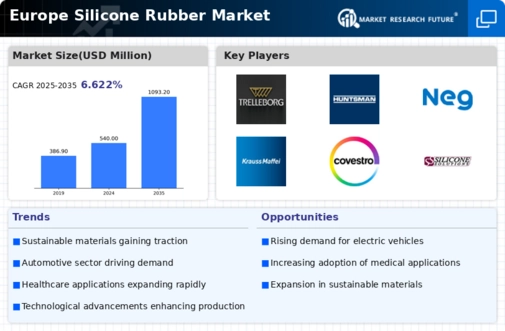 Europe Silicone Rubber Market Infographic