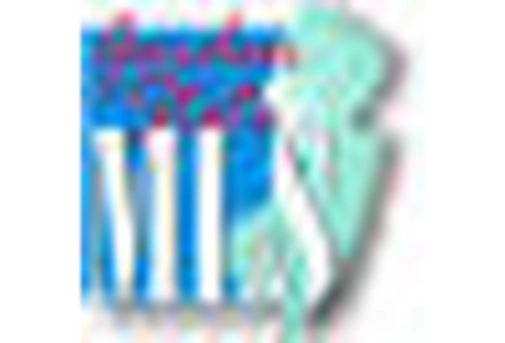 South Korea Antimony Market key player