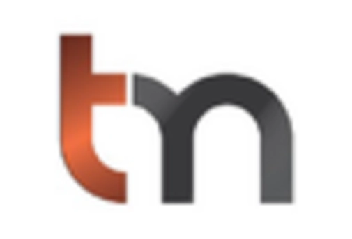 Germany Antimony Market key player