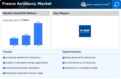 France Antimony Market Infographic