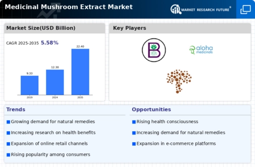 Medicinal Mushroom Extract Market Infographic