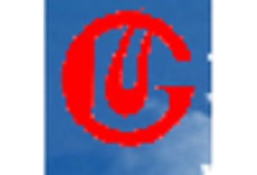 Japan Monosodium Glutamate Market key player