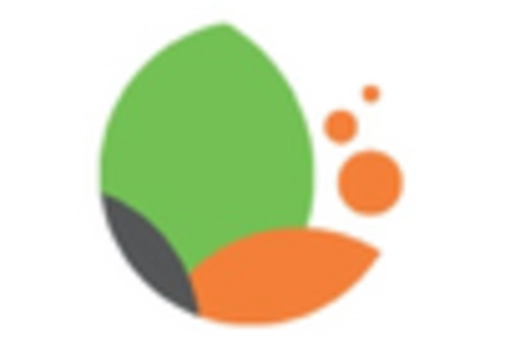 Italy Monosodium Glutamate Market key player