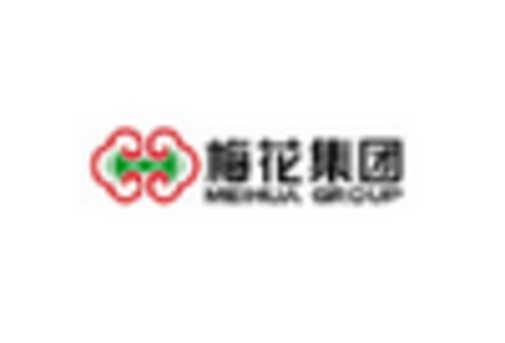 Italy Monosodium Glutamate Market key player