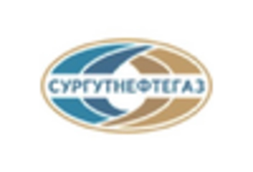 Russia Construction Chemicals Market key player