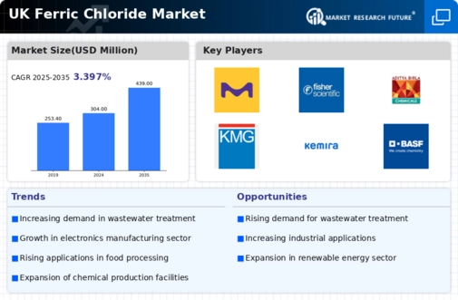 UK Ferric Chloride Market Infographic