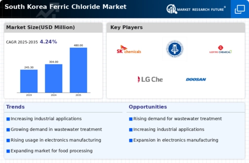 South Korea Ferric Chloride Market Infographic