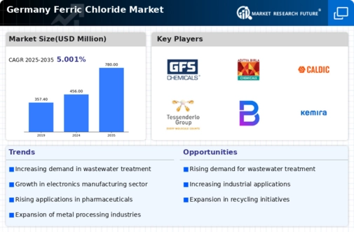 Germany Ferric Chloride Market Infographic
