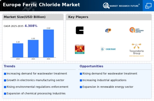 Europe Ferric Chloride Market Infographic