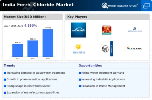 India Ferric Chloride Market Infographic