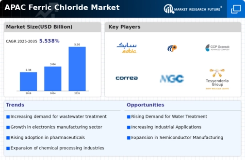 APAC Ferric Chloride Market Infographic