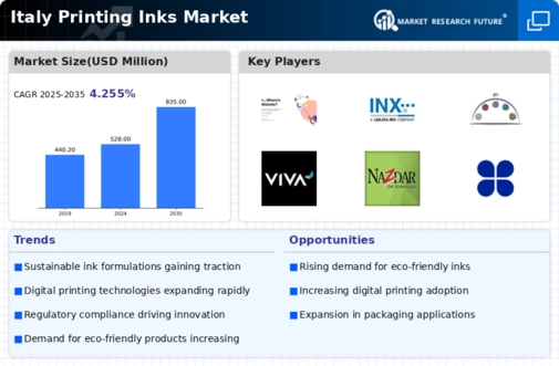 Italy Printing Inks Market Infographic