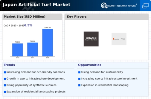 Japan Artificial Turf Market Infographic
