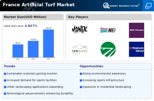 France Artificial Turf Market Infographic