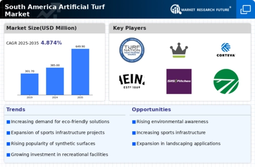 South America Artificial Turf Market Infographic