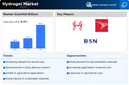 Hydrogel Market Infographic