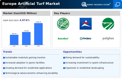 Europe Artificial Turf Market Infographic